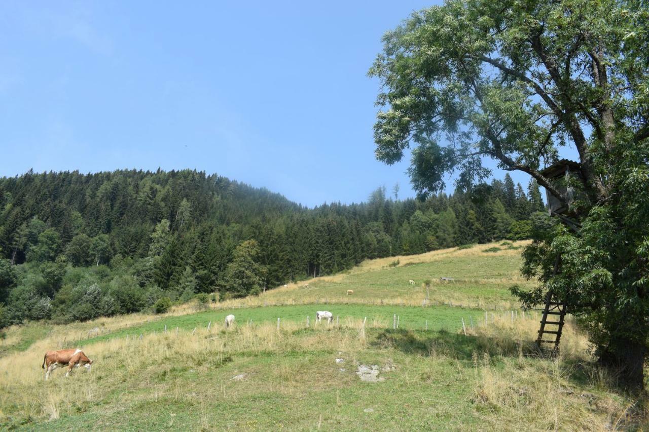 Ferienhaus Schleinzer Prebl Exteriör bild